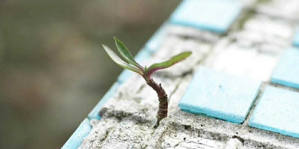 Pavasara nogurums un svaigā gaisa saindēšanās