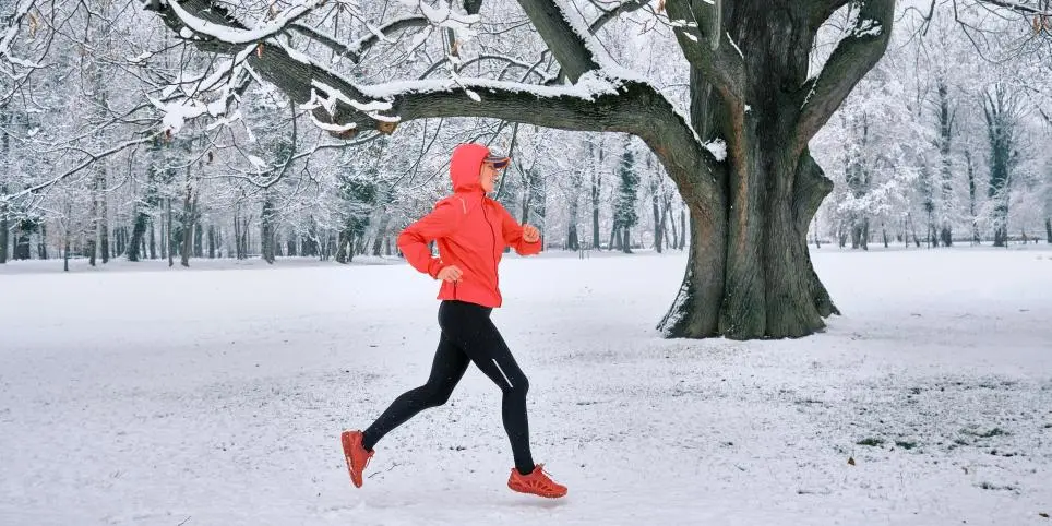 Imunitātei un enerģijai: Dzelzs (Ferrum) nozīme veselībā