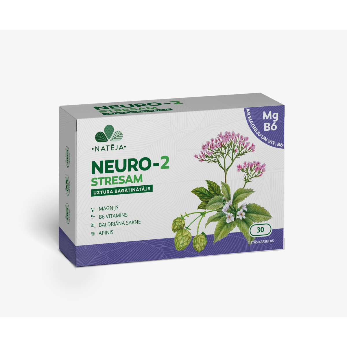Uztura bagātinātājs NATĒJA NEURO - 2 STRESAM, kapsulas ar Magniju & B6 vit., N30 - Produkta attēls
