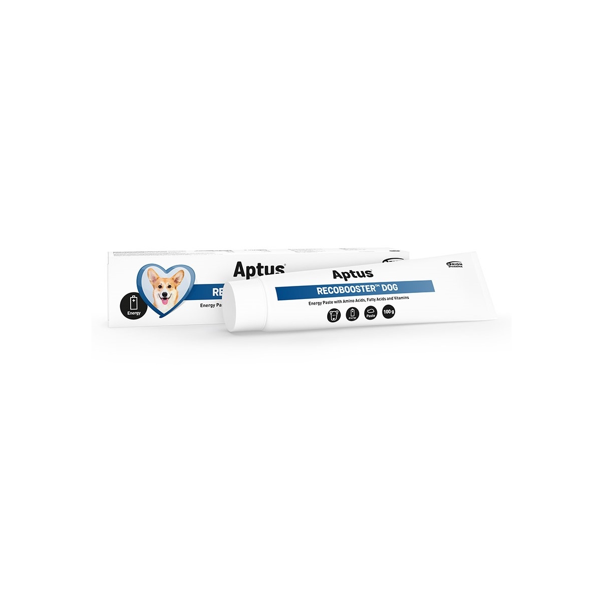 APTUS RECOBOOSTER DOG 100G - Produkta attēls