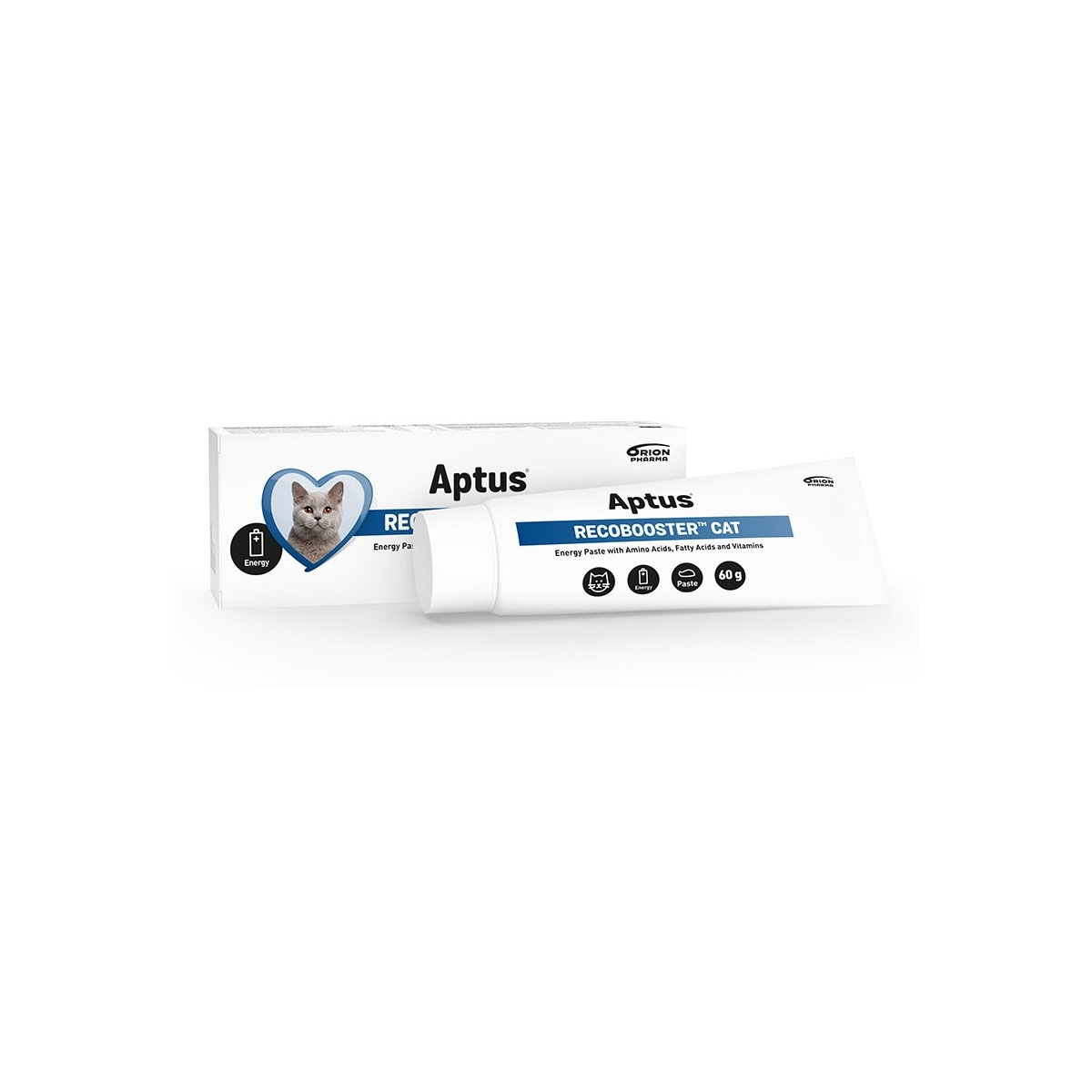 APTUS RECOBOOSTER CAT 60G - Produkta attēls