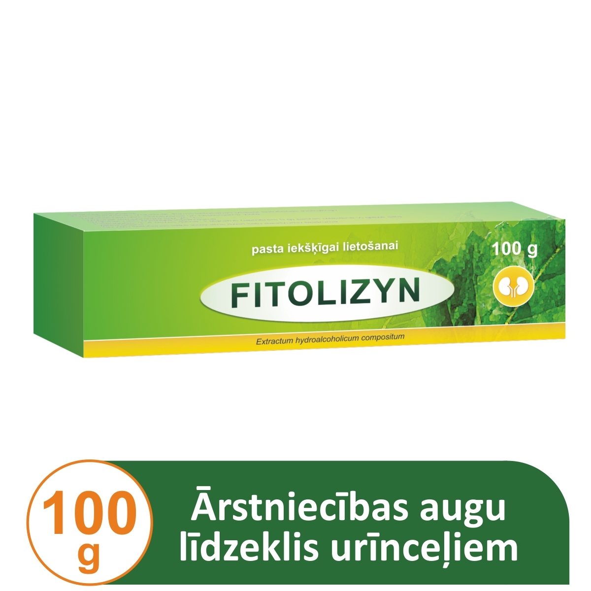 FITOLIZYN PASTA 100G - Produkta attēls 1