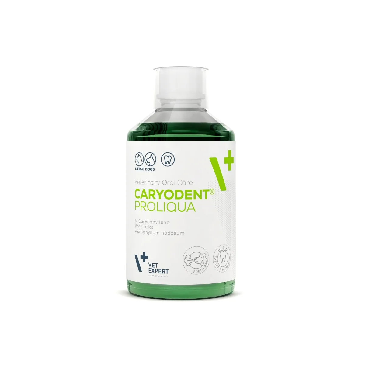 VE CARYODENT PROLIQUA ZOBU HIG. LĪDZ. 250ML - Produkta attēls