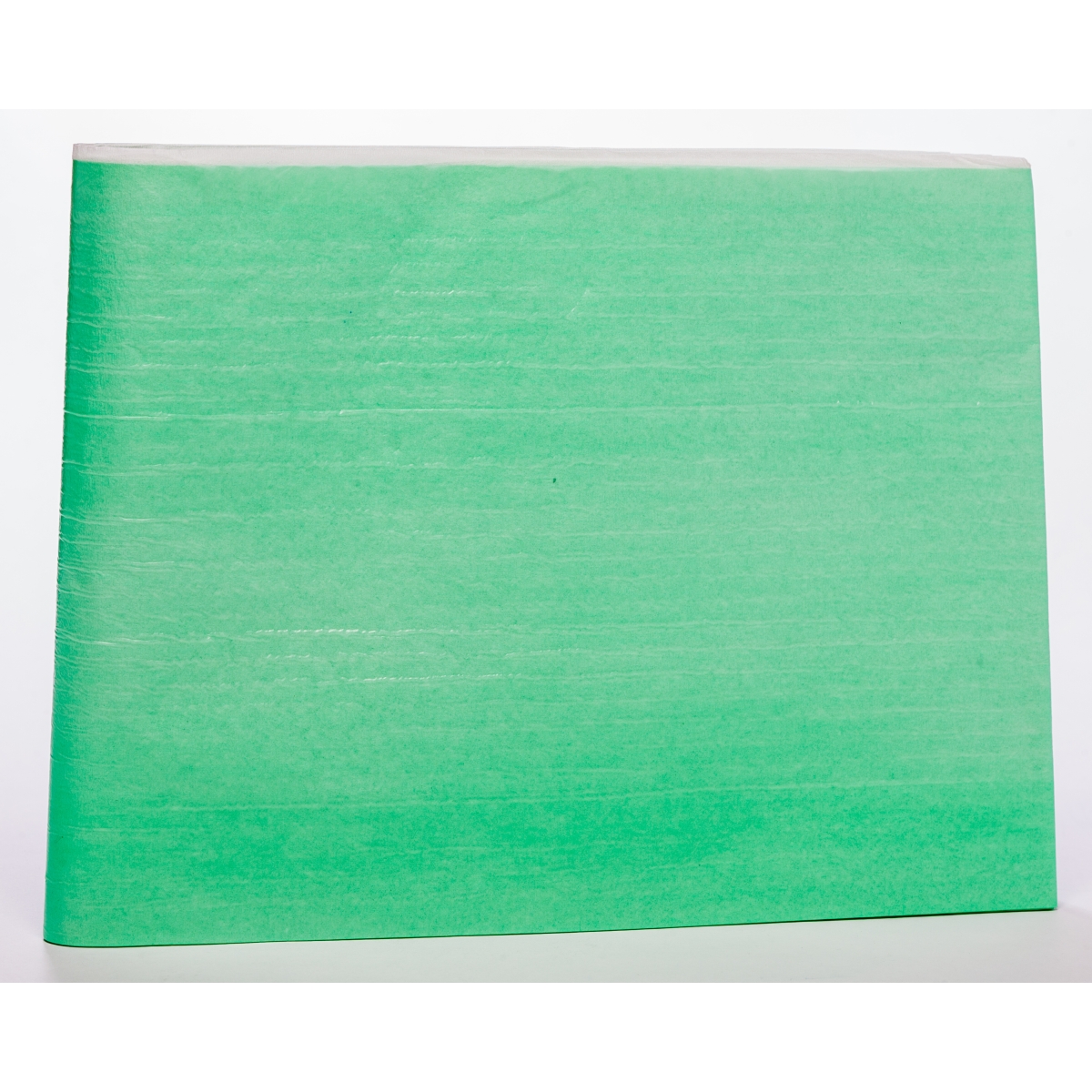 VALAPROTECT Basic palags (210 x 80 cm), 1 gab - Produkta attēls