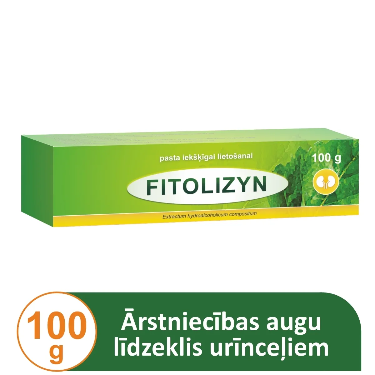 FITOLIZYN PASTA 100G - Produkta attēls 1