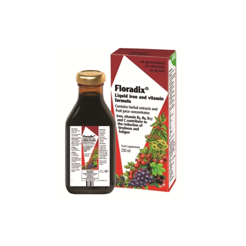 Floradix dzelzs, šķīdums 250 ml (bojāts iepakojums)