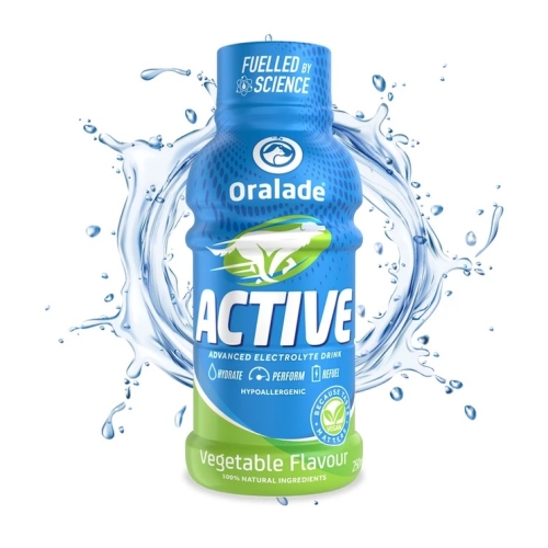 ORALADE ACTIVE 250ML AR DĀRZEŅU GARŠU SUŅIEM