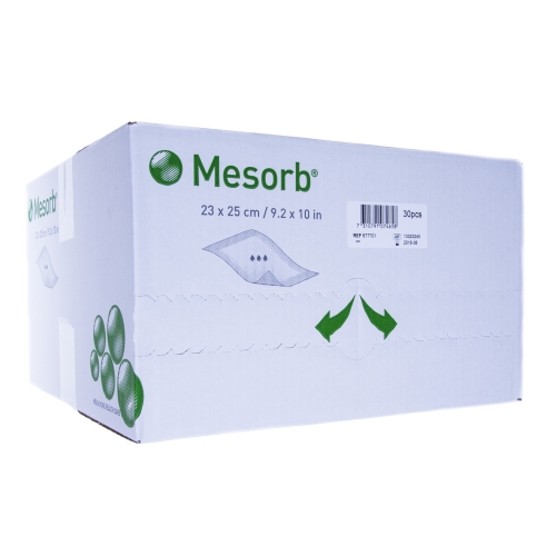 MESORB ABSORB.PĀRSĒJS 23x25CM N30