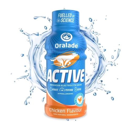 ORALADE ACTIVE 250ML AR VISTAS GARŠU SUŅIEM