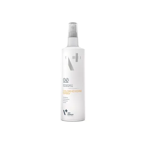 VE CHLORHEXIDINE SPRAY 100ML NANOSILVER