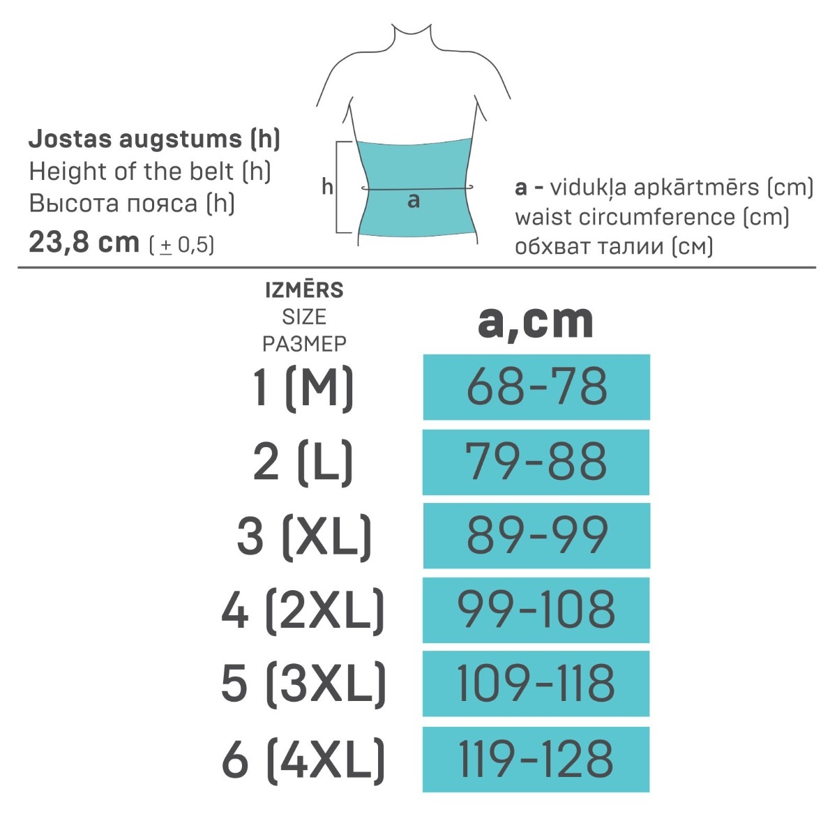TONUS ELAST 0012 Josta + metāla stiprinājumi NR.4 - Produkta attēls 3