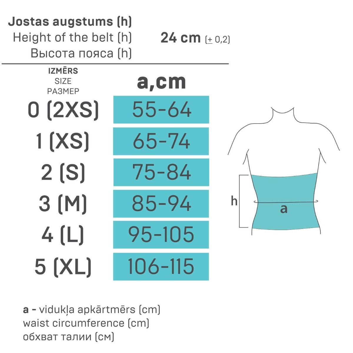 TONUS ELAST 9901 Pēcoperācijas josta NR.1 - Produkta attēls 3