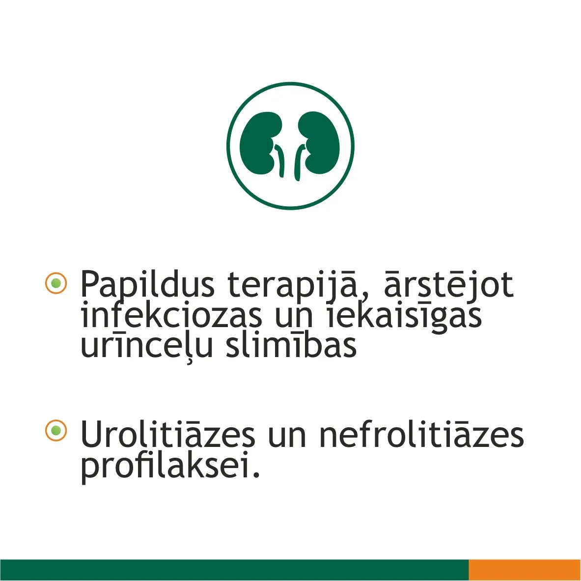 FITOLIZYN PASTA 100G - Produkta attēls 4