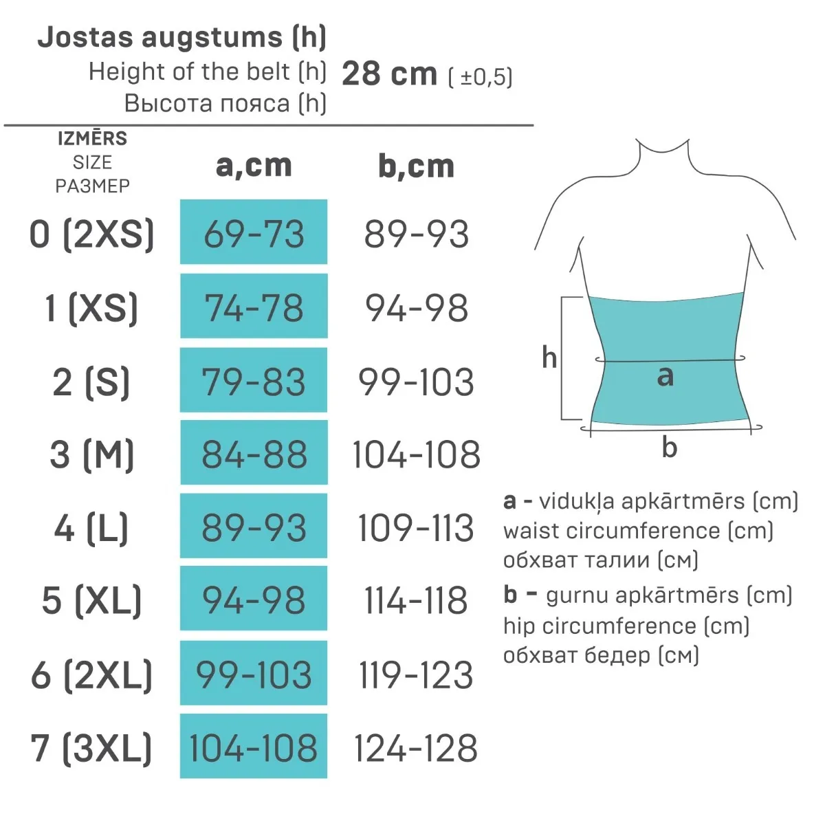 TONUS ELAST 9509 Elastīgā josta NR.4 - Produkta attēls 3