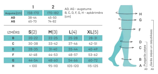ELAST 0403 LUX VĒNU ZEĶ.GARĀS(23-32MM) 2.AUG.NR3 CARAMEL - Produkta attēls 2