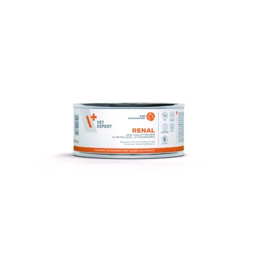 4T VD KAĶU RENAL KONS 100G - Produkta attēls 