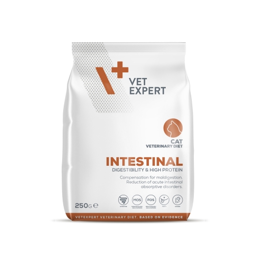 4T VD KAĶU INTESTINAL SAUSĀ B 250G - Produkta attēls 