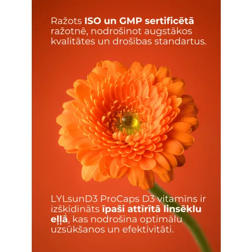 LYL sunD3 ProCaps 4000 SV, 60 kapsulas - Produkta attēls 4