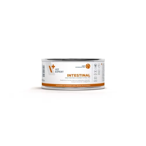 4T VD KAĶU INTESTINAL KONS 100G - Produkta attēls 