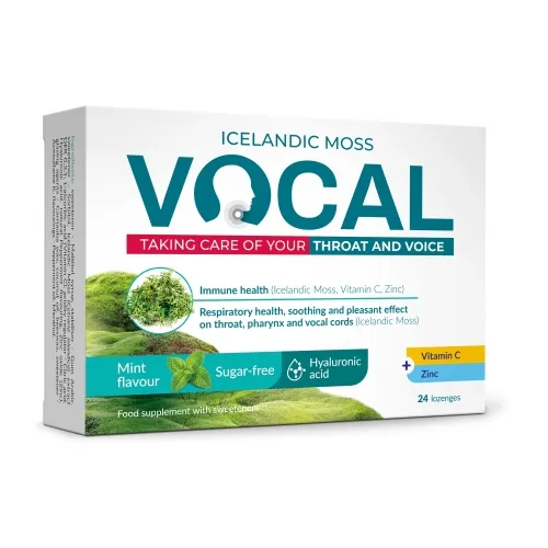 Product image of VOCAL sūkājamās pastilas ar piparmētru garšu, 24 gab.