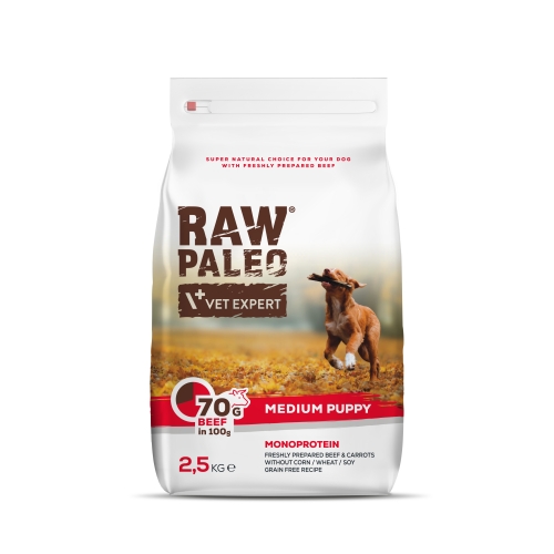 RAW PALEO KUCĒNU SAUSĀ B MEDIUM LIELLOPS 2.5KG - Produkta attēls 