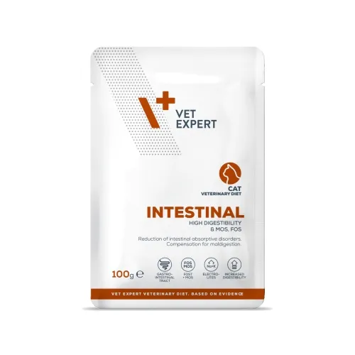 4T VD KAĶU INTESTINAL PAC 100G N12 LIELLOPS/VISTA