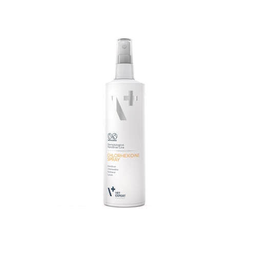 VE CHLORHEXIDINE SPRAY 100ML NANOSILVER