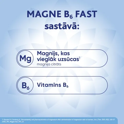 MAGNE B6 (Magnijs) fast granulas, 20 gab - Produkta attēls 2