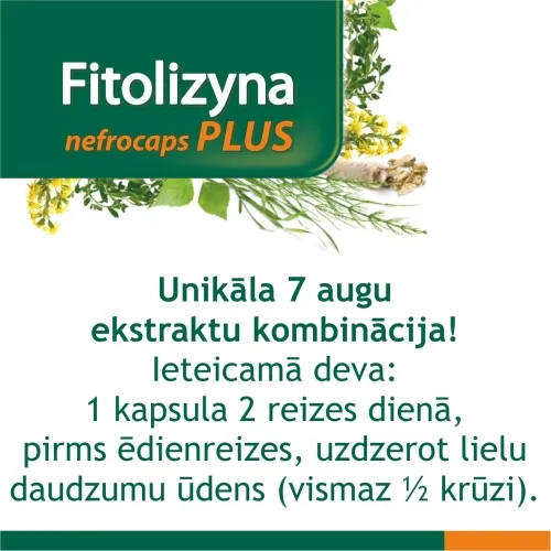 FITOLIZYNA Nefrocaps Plus kapsulas, 30 gab. - Produkta attēls 3