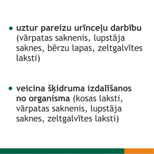 FITOLIZYNA Nefrocaps Plus kapsulas, 30 gab. - Produkta attēls 4