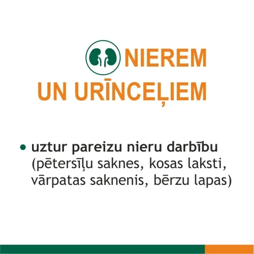 FITOLIZYNA Nefrocaps Plus kapsulas, 30 gab. - Produkta attēls 5
