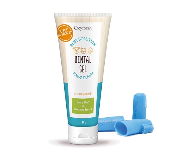 OXYFRESH DENTAL KIT ZOBU PASTAS GELS 28G+ ZOBU BIRSTE - Produkta attēls 