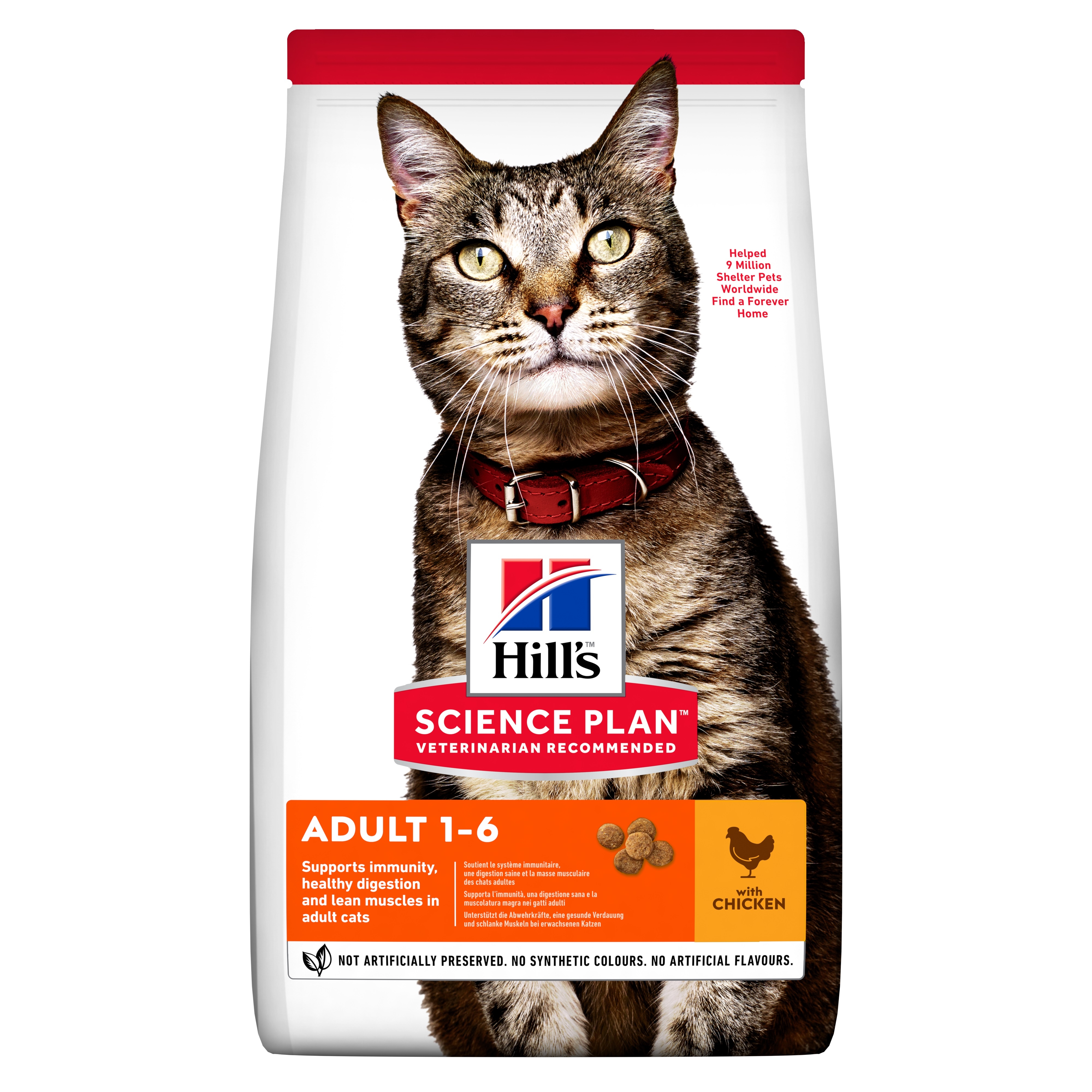 Hills kaķu sausā barība vista 300g - Produkta attēls 