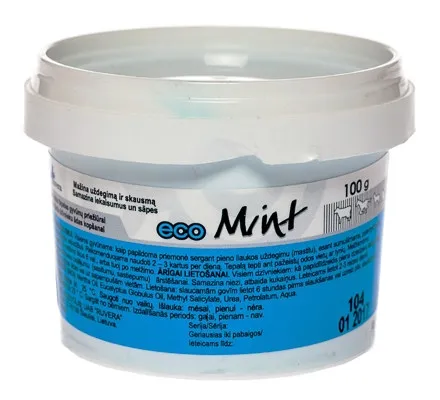 ECOMINT 100G - Produkta attēls 