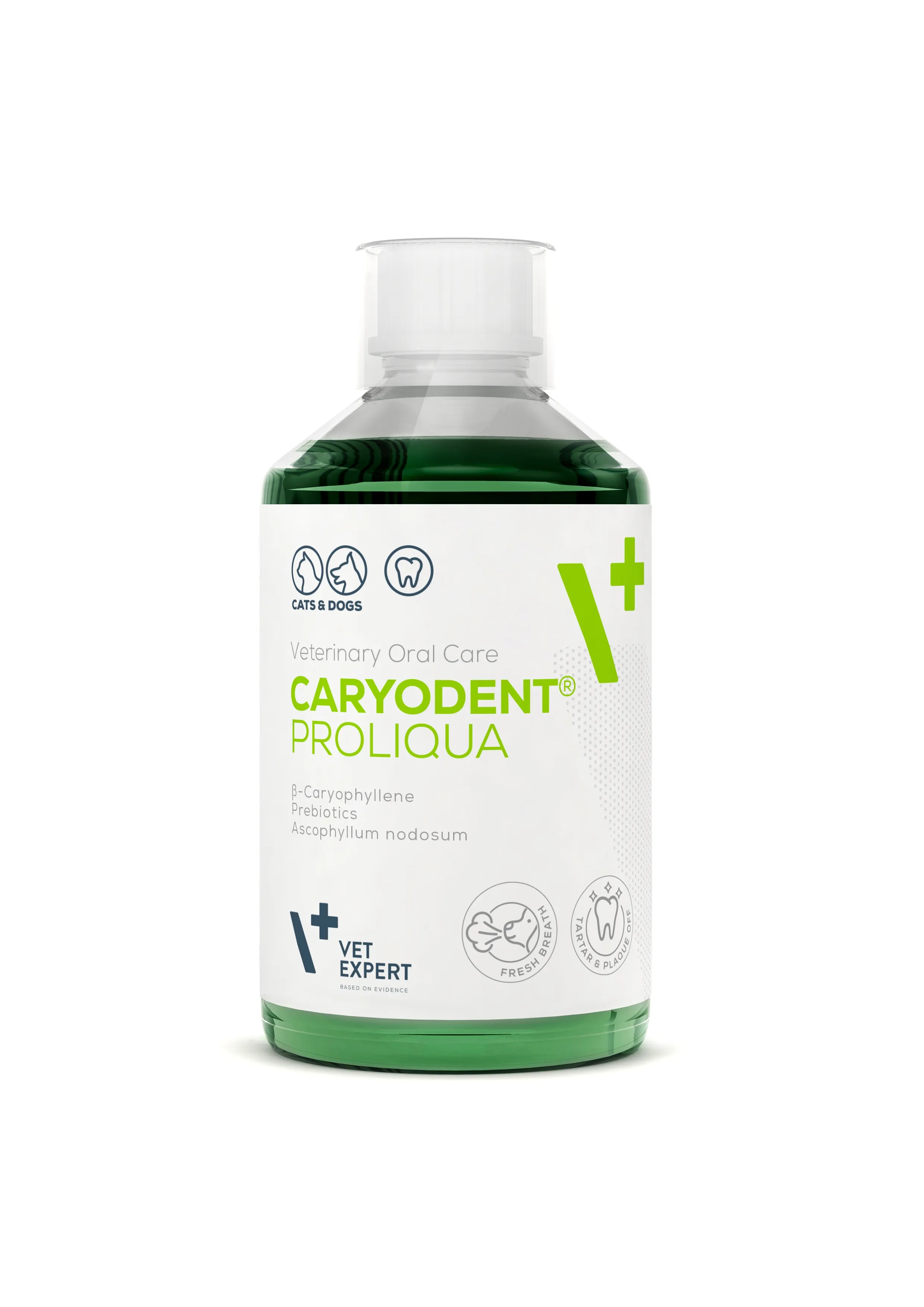 VE CARYODENT PROLIQUA ZOBU HIG. LĪDZ. 250ML - Produkta attēls 