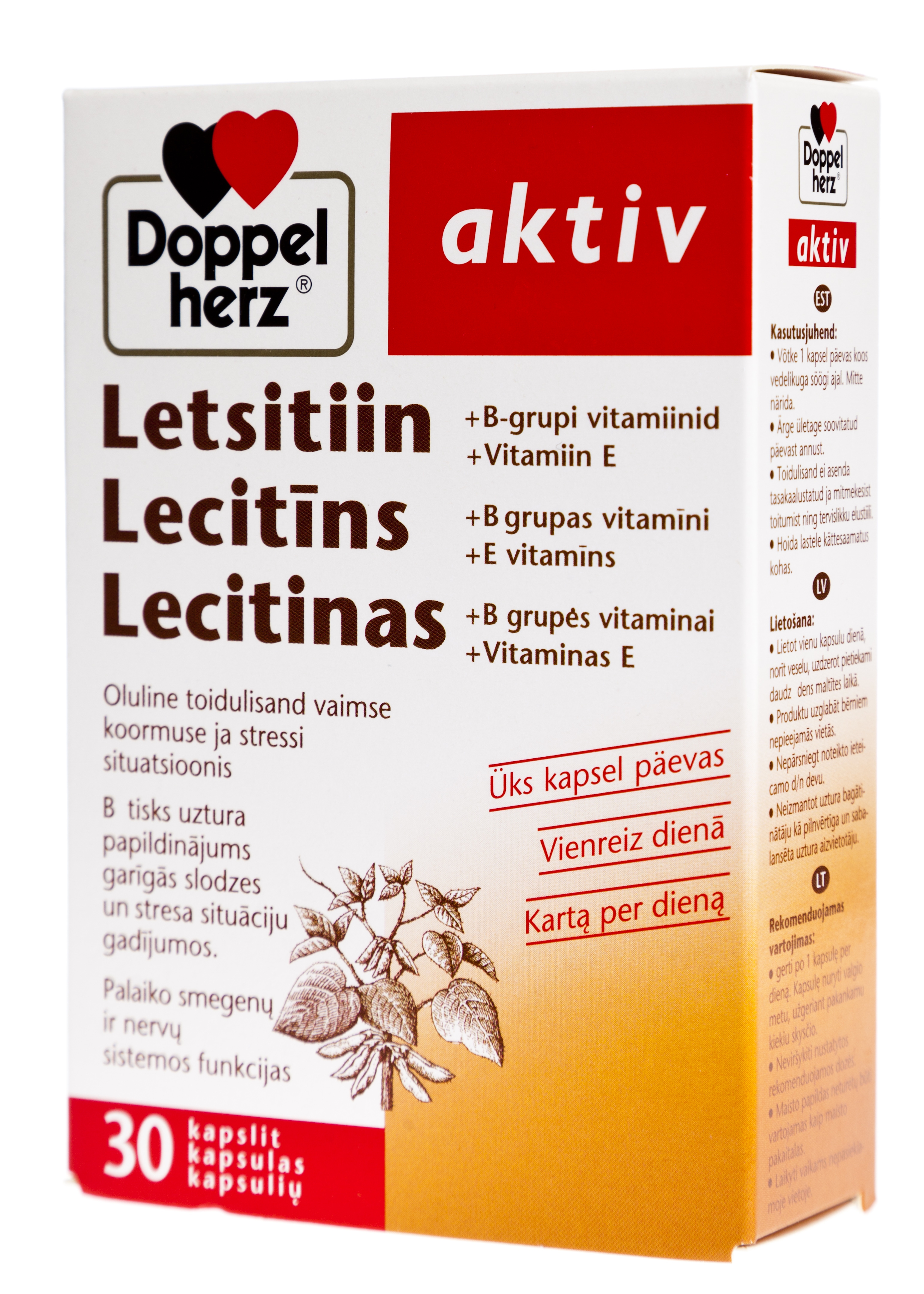 DOPPELHERZ® Aktiv Lecitīns + B grupas vitamīni +E vitamīns kapsulas, 3 - Produkta attēls 