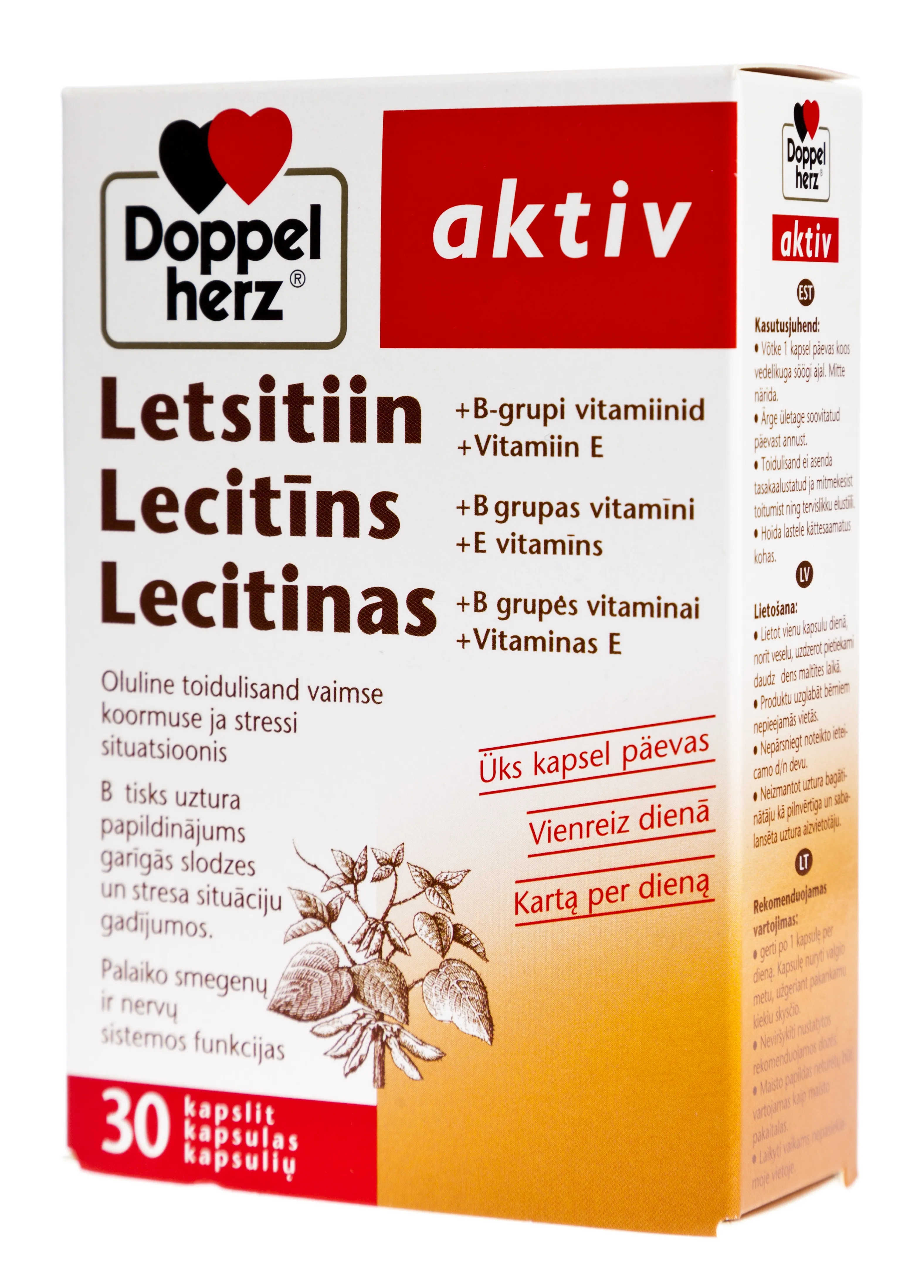 DOPPELHERZ® Aktiv Lecitīns + B grupas vitamīni +E vitamīns kapsulas, 3 - Produkta attēls 