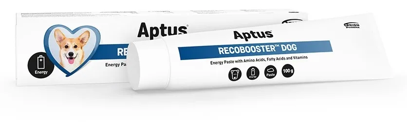 APTUS RECOBOOSTER DOG 100G - Produkta attēls 