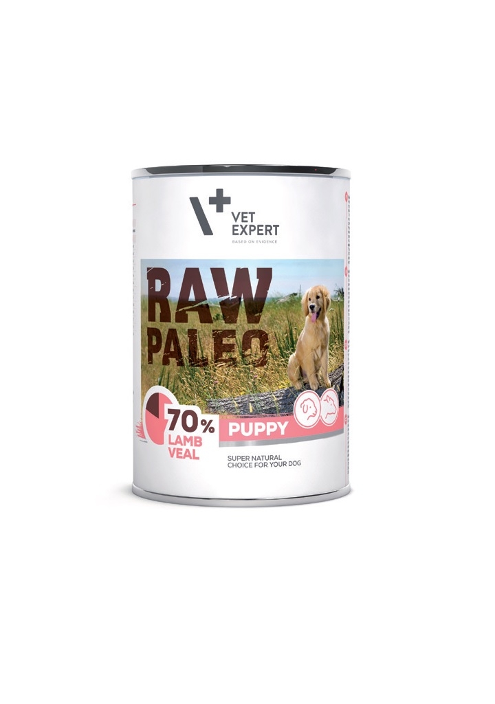 RAW PALEO KUCĒNU KONS JĒRS/TEĻŠ 400G - Produkta attēls 
