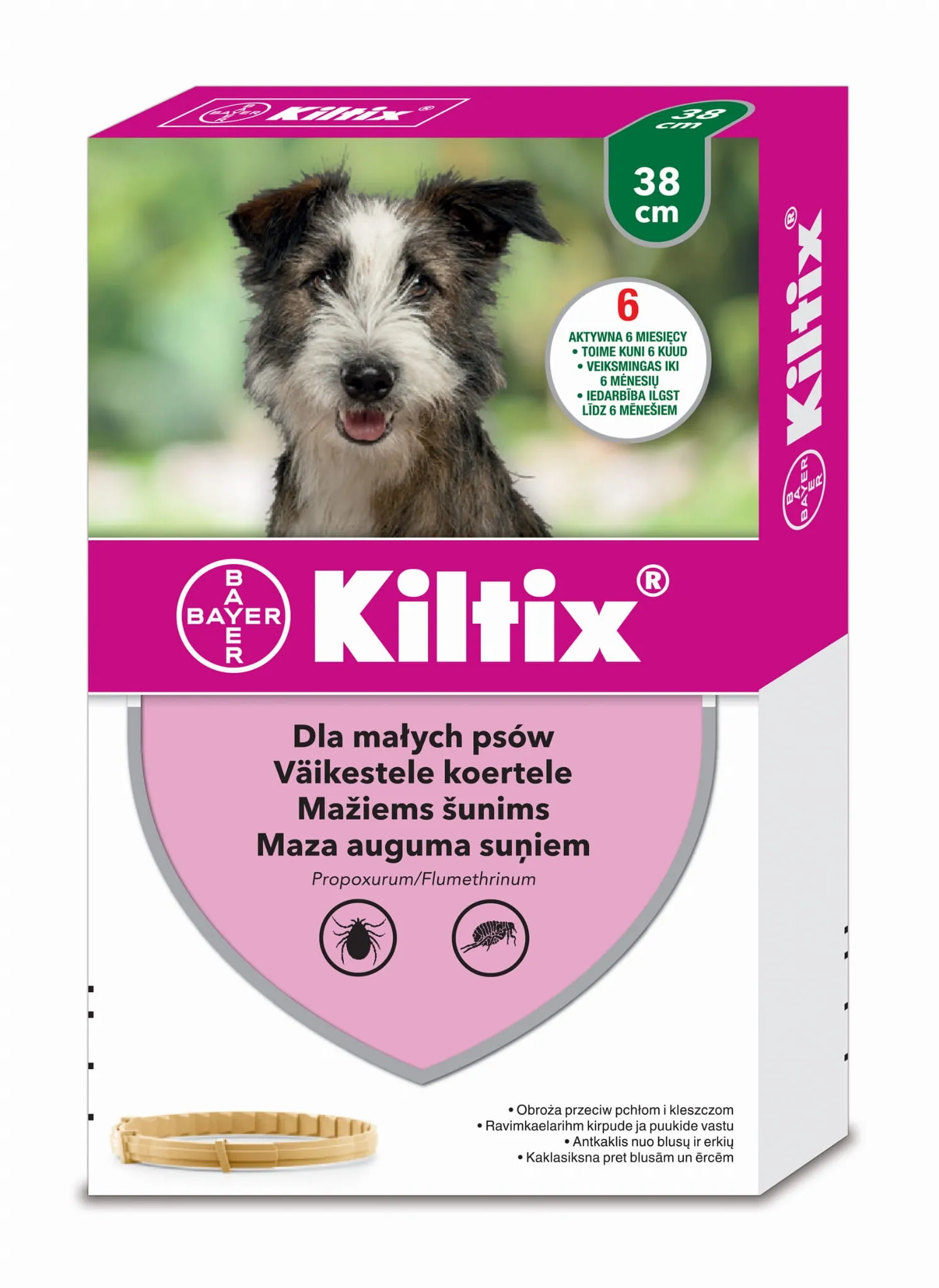 KILTIX KAKLA SIKSNA 38CM MAZIEM SUŅIEM - Produkta attēls 