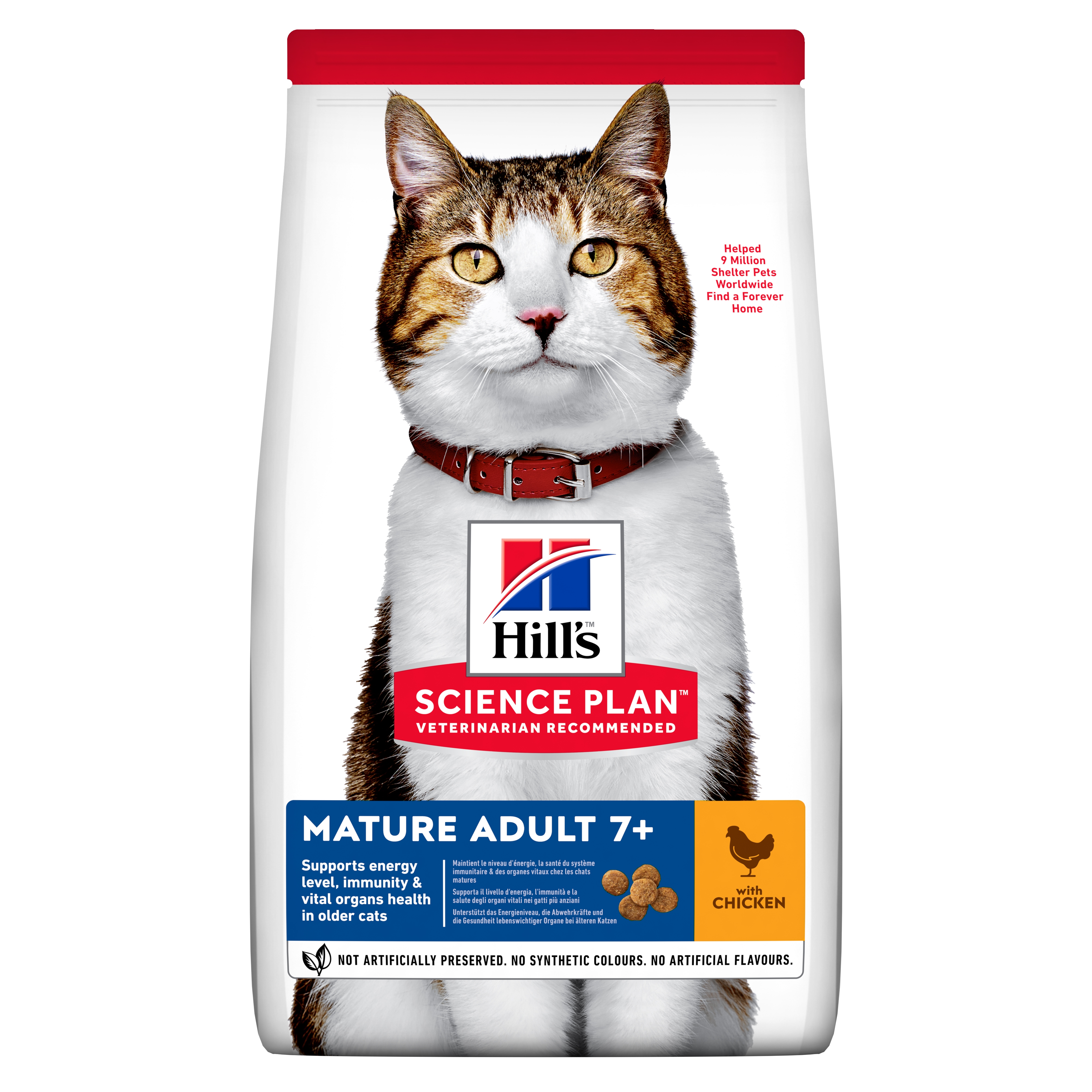Hills kaķu sausā barība 7+ vista 300g - Produkta attēls 