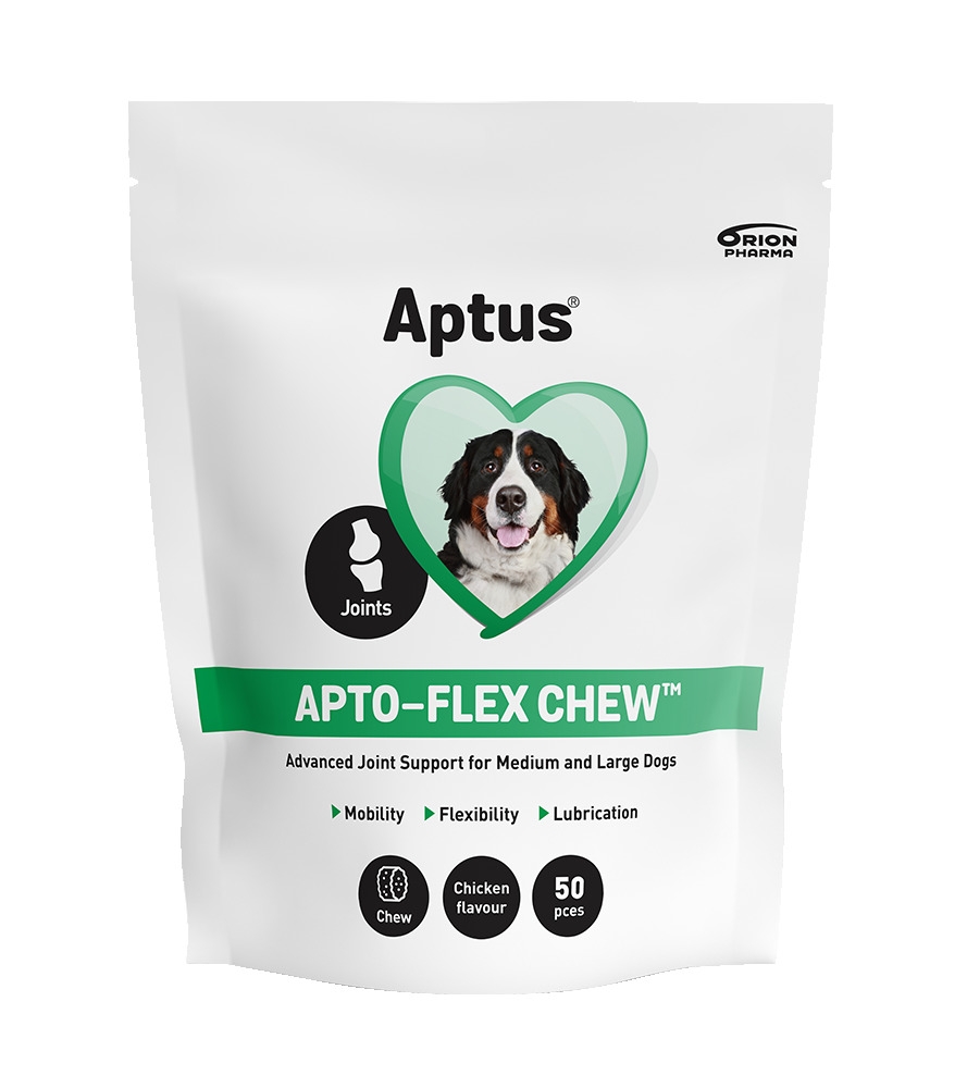 APTUS APTO-FLEX CHEW N50 SUŅIEM - Produkta attēls 