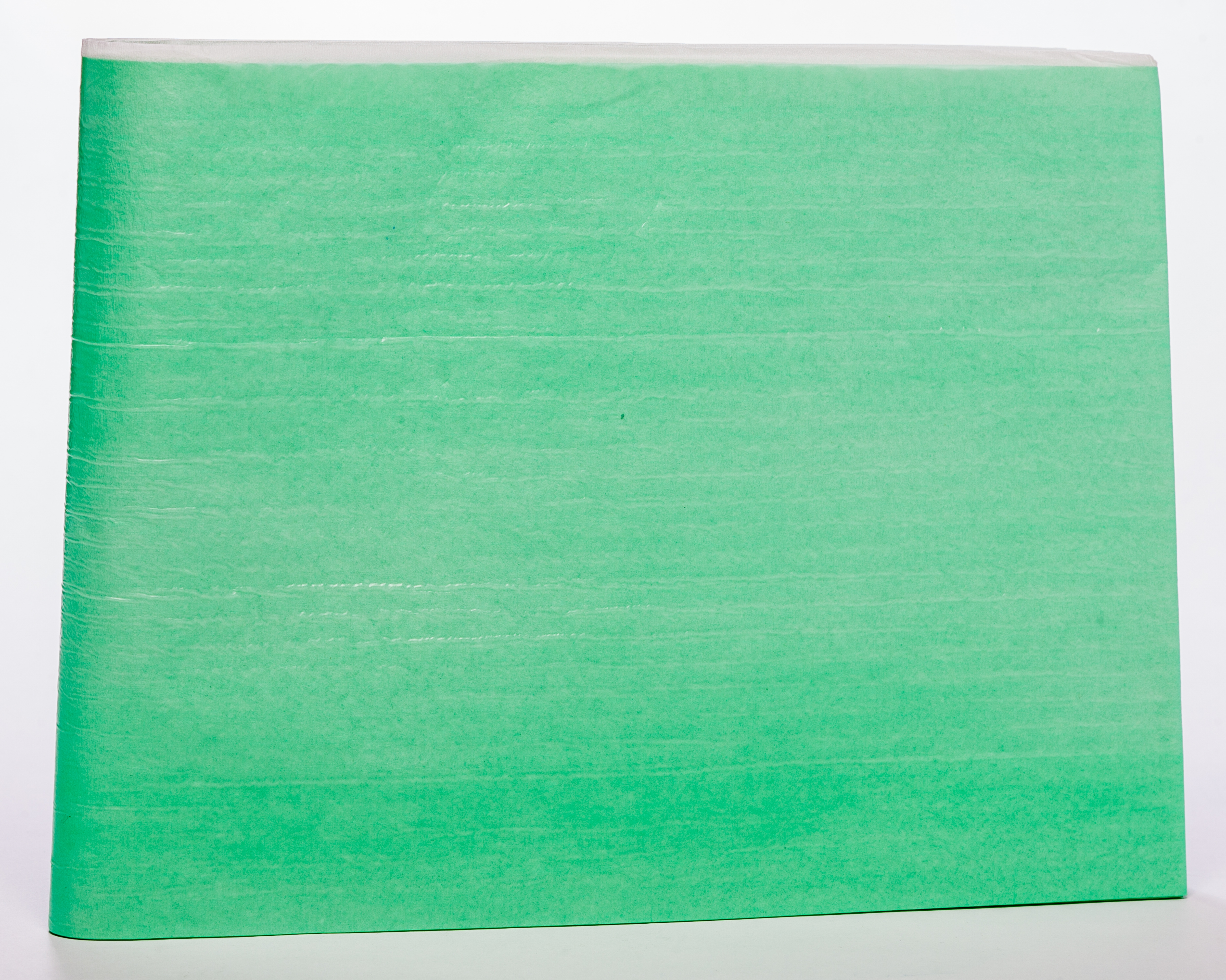 VALAPROTECT Basic palags (210 x 80 cm), 1 gab - Produkta attēls 