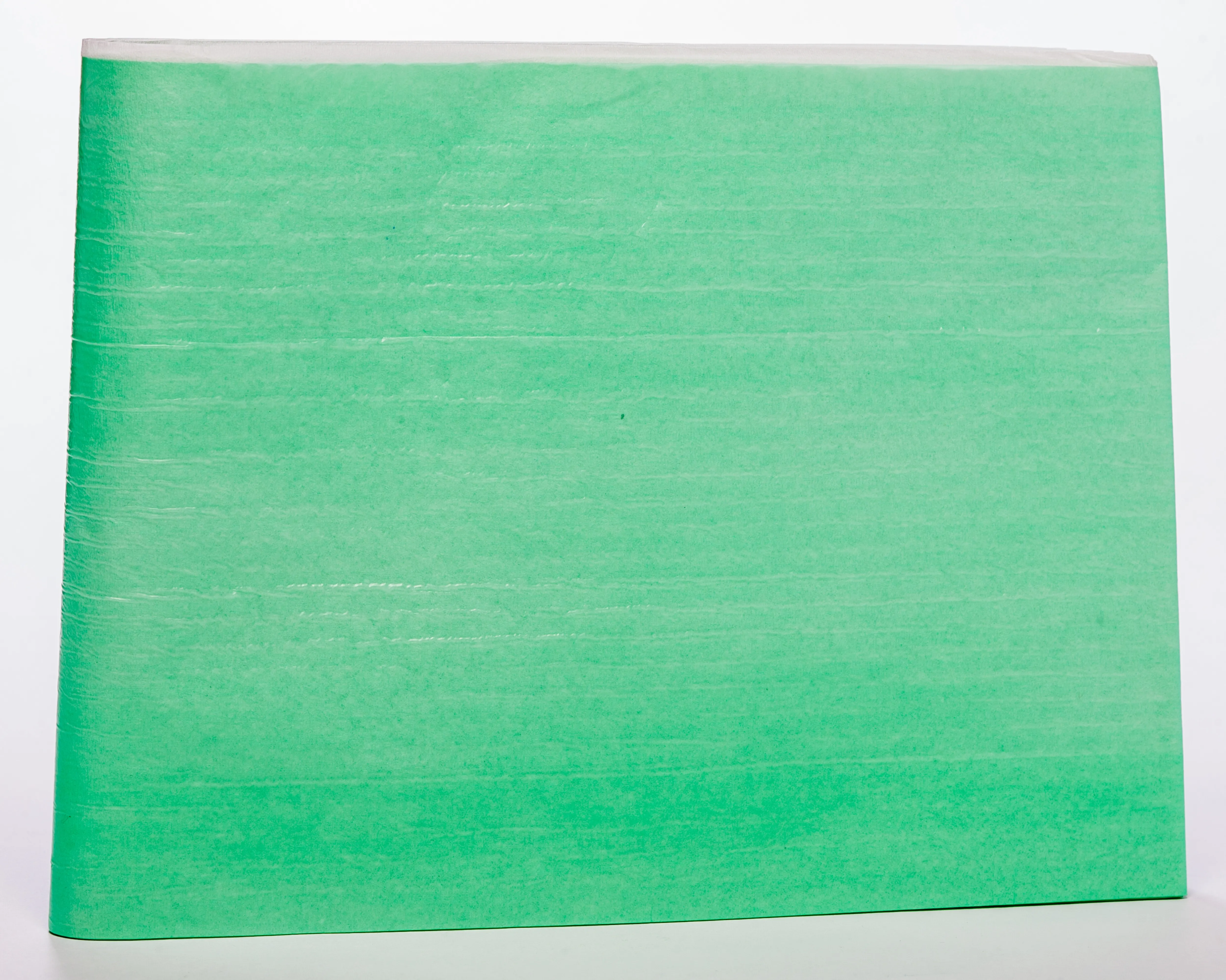 VALAPROTECT Basic palags (210 x 80 cm), 1 gab - Produkta attēls 