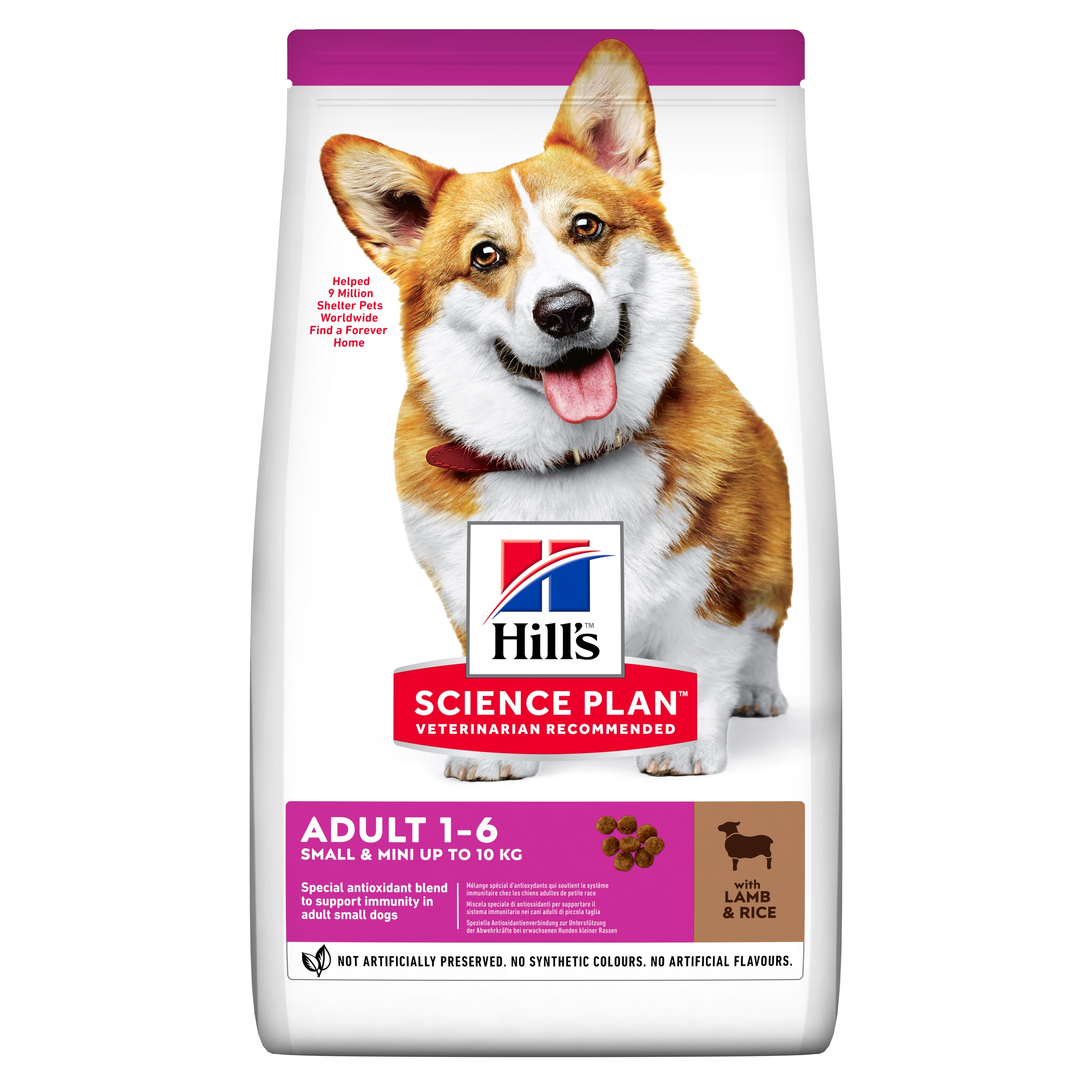 Hills suņu sausā barība mazām šķirnēm jērs/rīsi 1,5kg - Produkta attēls 