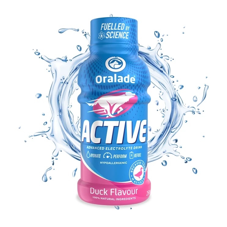 ORALADE ACTIVE 250ML AR PĪLES GARŠU SUŅIEM - Produkta attēls 