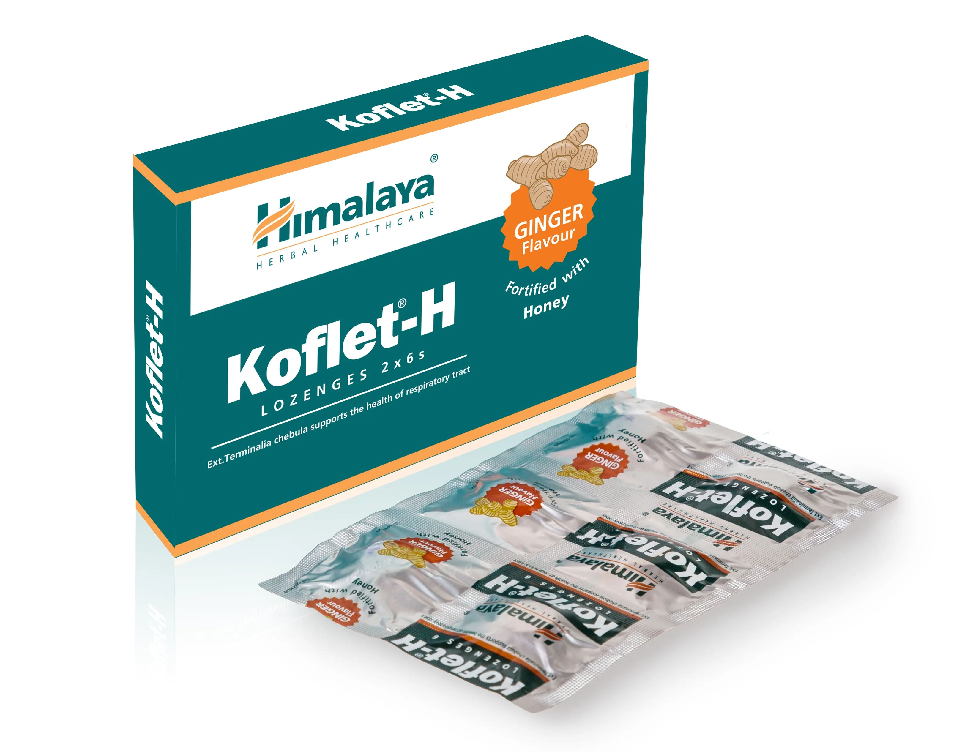 HIMALAYA KOFLET-H LEDENES AR INGVERA GARŠU N12 - Produkta attēls 
