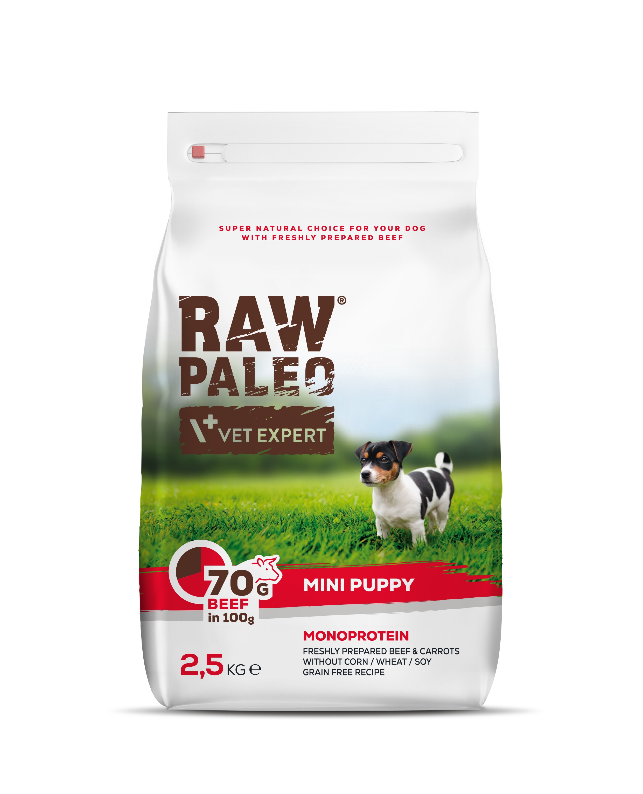 RAW PALEO KUCĒNU SAUSĀ B MINI LIELLOPS 2.5KG - Produkta attēls 