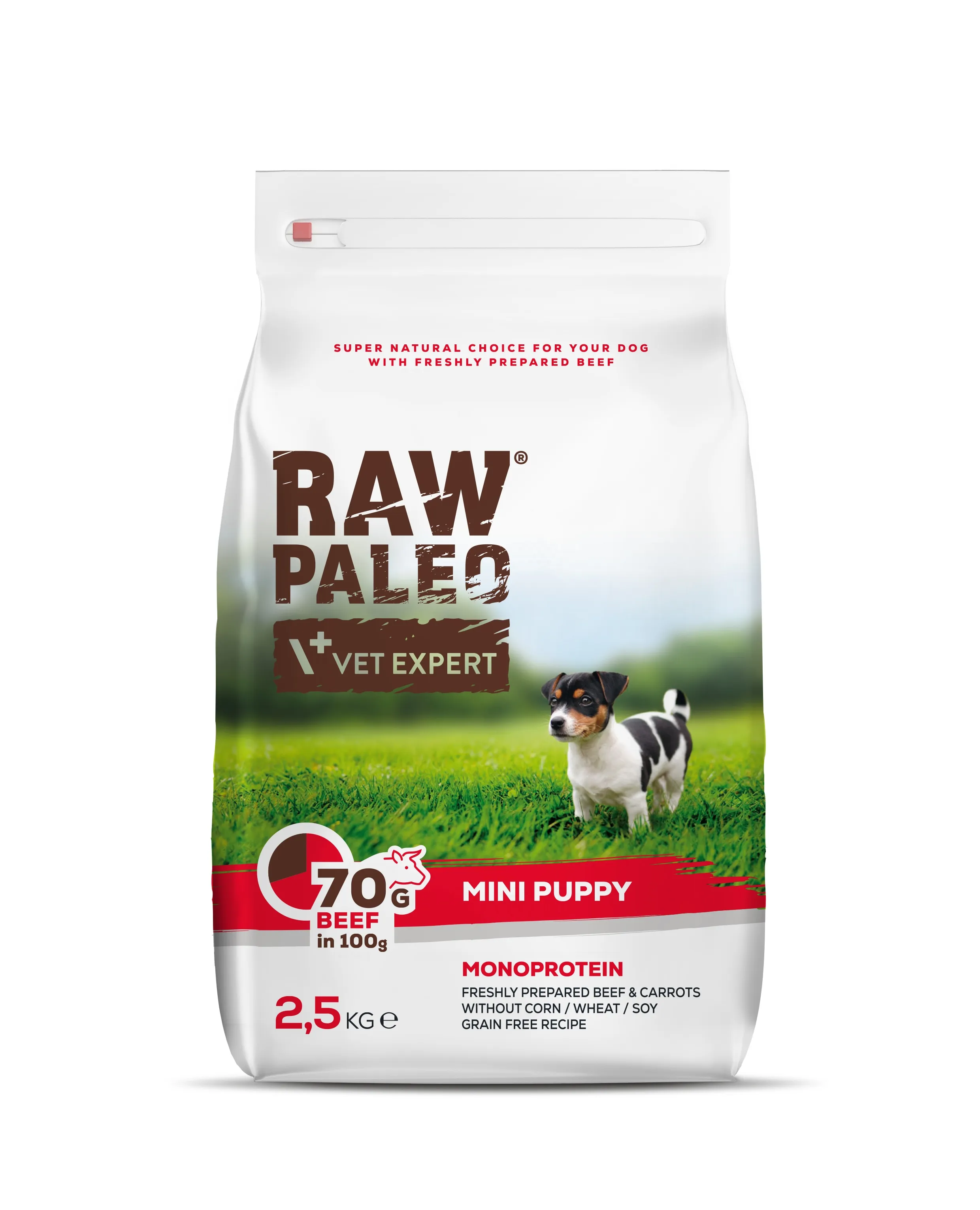 RAW PALEO KUCĒNU SAUSĀ B MINI LIELLOPS 2.5KG - Produkta attēls 