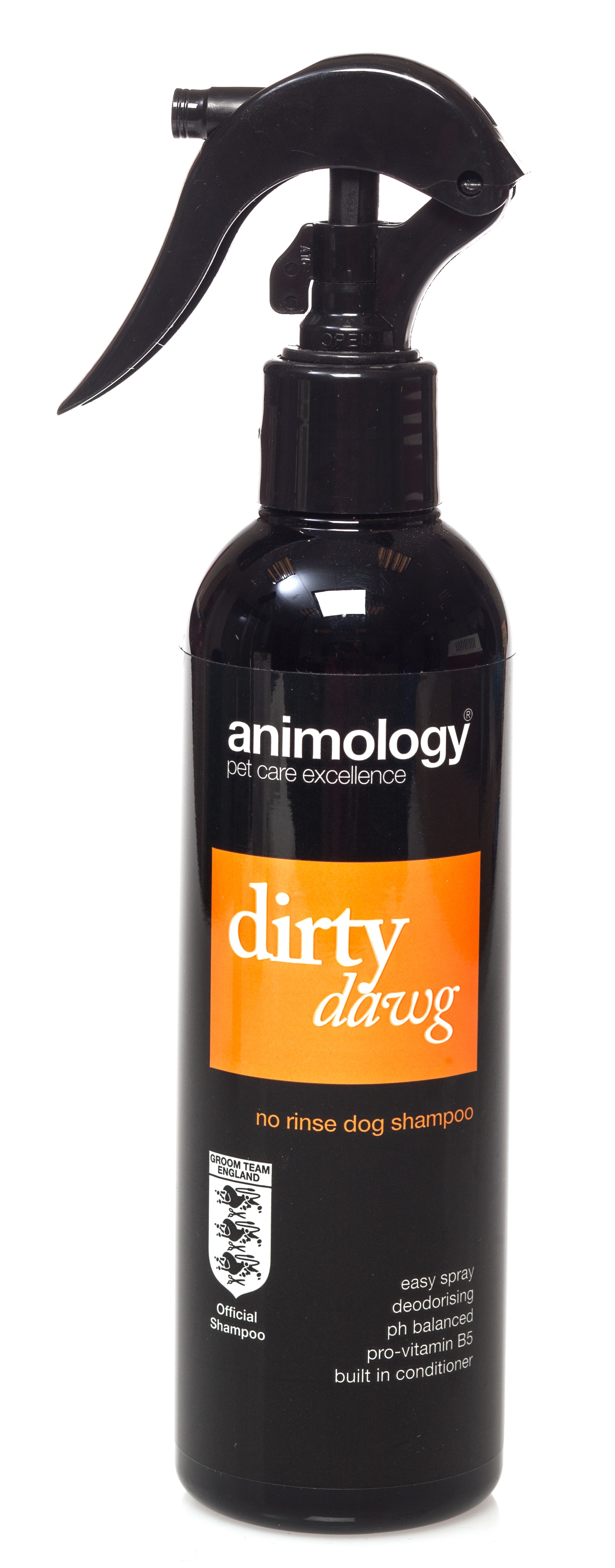 ANIMOLOGY SHAMPOO NO-RINSE DIRTY DAWG 250ML - Produkta attēls 